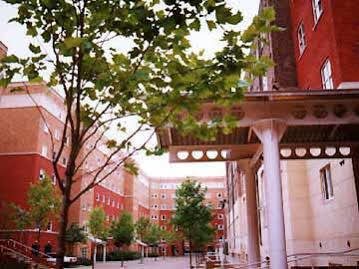 Great Dover Street Apartments London Exteriör bild